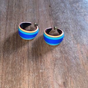 Fun and Vibrant Earrings !